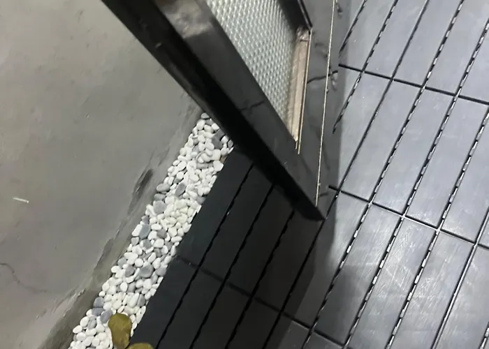 The Nest
